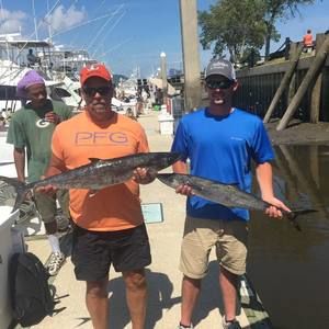 Meet your Posher, Tim